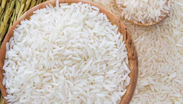 زیستگاه برنج ایرانی