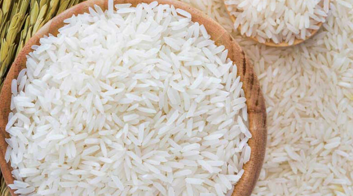 زیستگاه برنج ایرانی