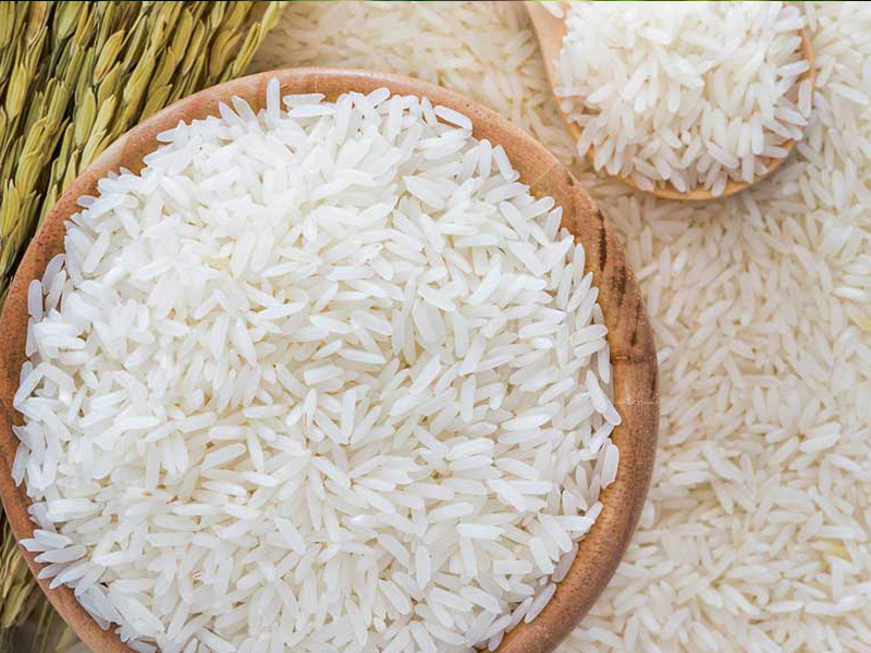 زیستگاه برنج ایرانی